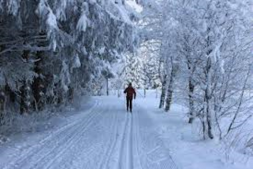 Winterberg en omstreken